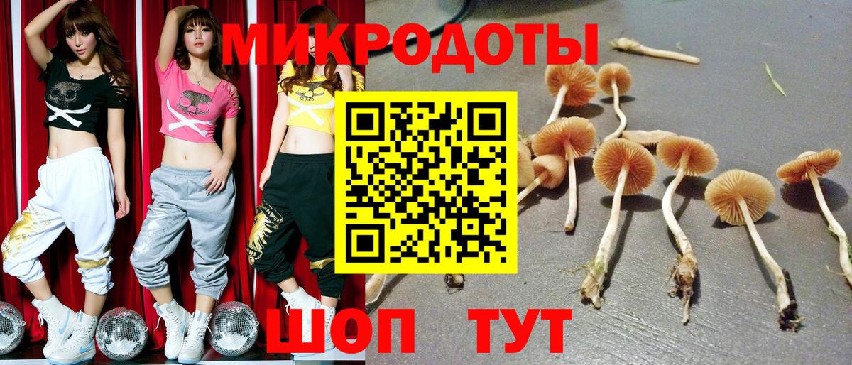 Гусиноозёрск  Псилоцибиновые грибы мицелий  Вход с VPN 